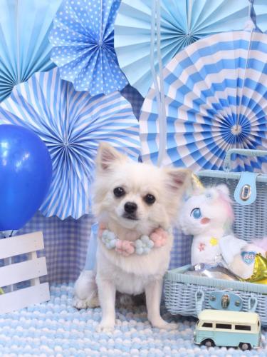 20231125ぽんちくん